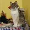 Отзыв от Алена Селиванова